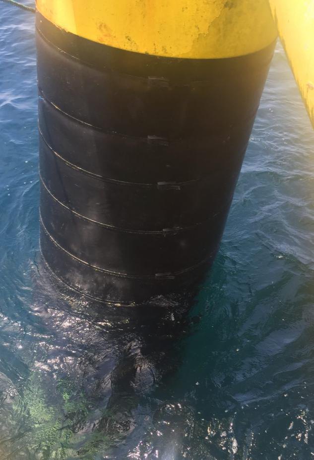 Pilote protegido con Wax-Tape en zona de mareas
